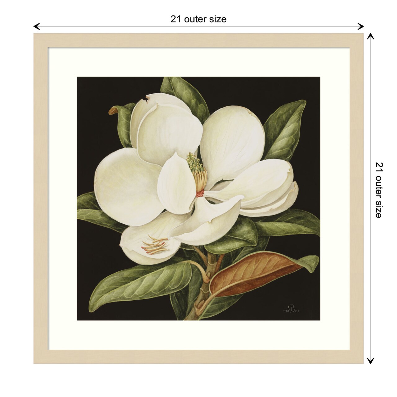 Magnolia Grandiflora 2003 by Jenny Barron Wood Framed Wall Art Print